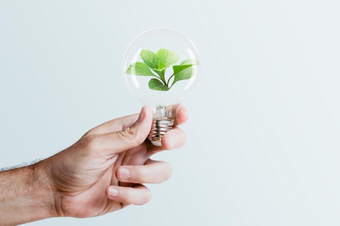Biomass Energy: Converting Organic Matter to Clean Power | EO Energy